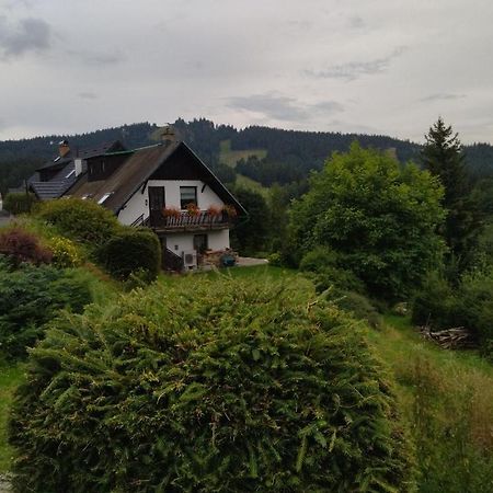 Apartman Kral Albrechtice v Jizerskych horach Kültér fotó
