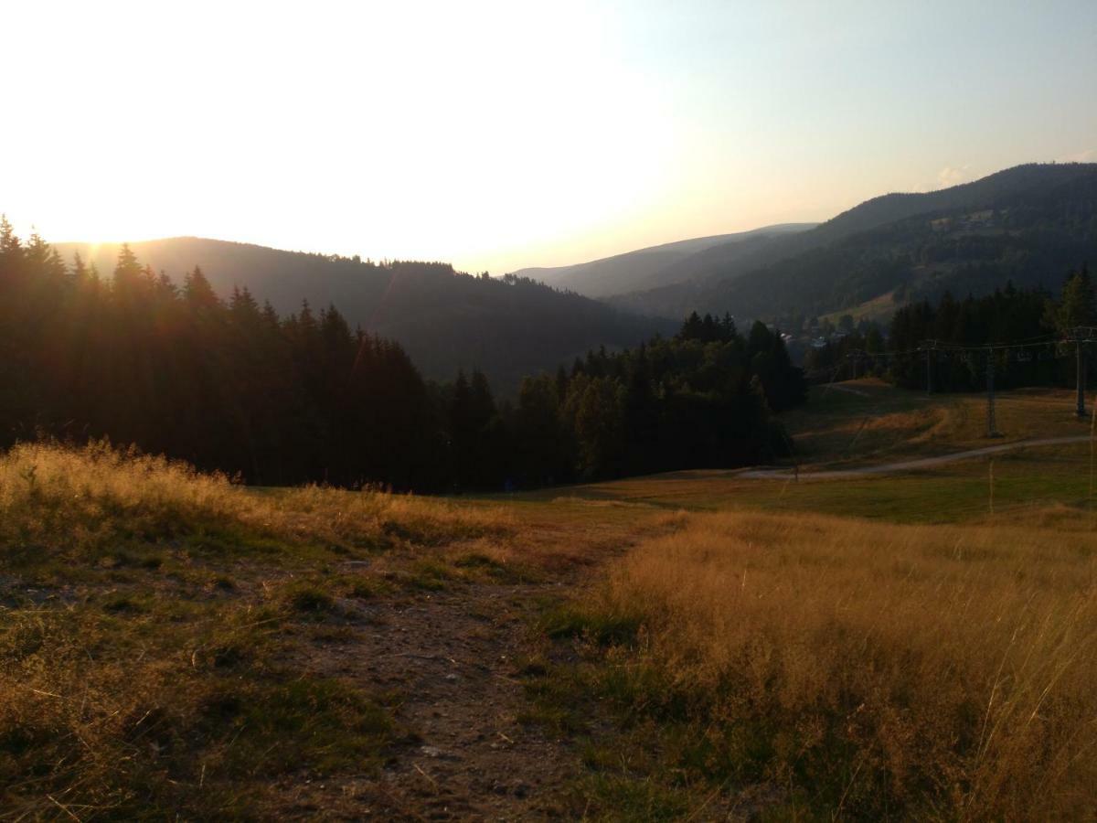 Apartman Kral Albrechtice v Jizerskych horach Kültér fotó