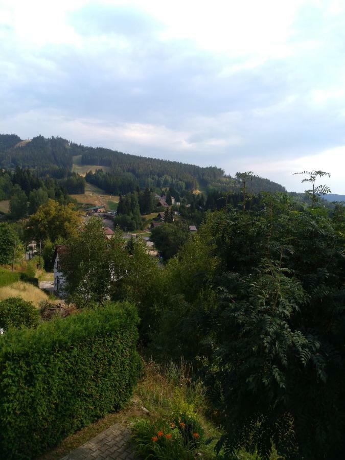 Apartman Kral Albrechtice v Jizerskych horach Kültér fotó