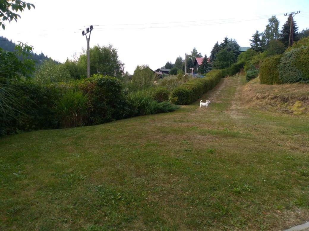 Apartman Kral Albrechtice v Jizerskych horach Kültér fotó